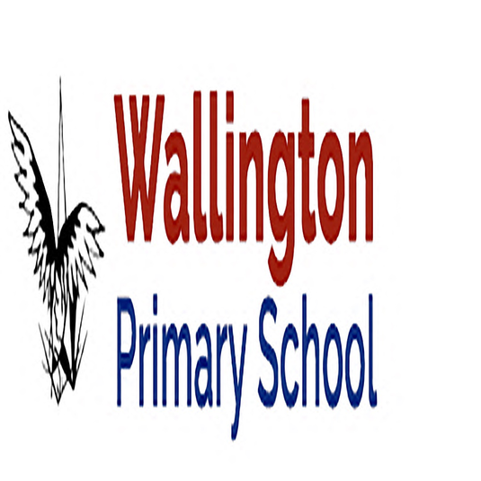 Wallington Primary School – DCS Uniforms